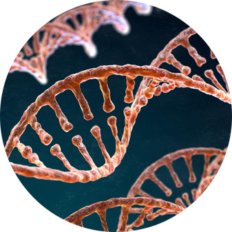 IV-Therapy in Costa Mesa, CA